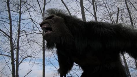Ohio Woman Captures Frightening Bigfoot Howling