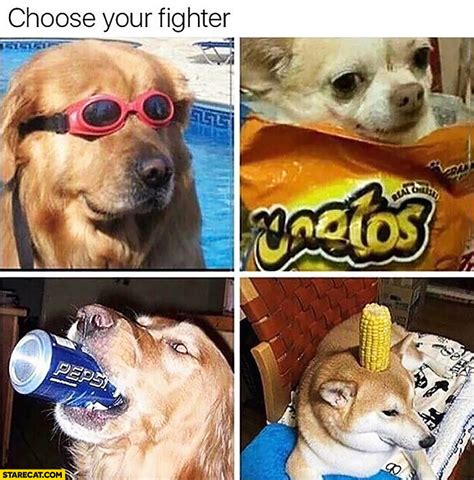 Chose Your Fighter Meme Choose Your Fighter Who Would Win Rokiroki Am