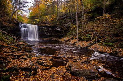 Wallpaper State Park Ricketts Glen Rocks Autumn Colors Free Pictures
