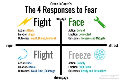 Grace Laconte Explains The 4 Responses To Fear Diagram Video