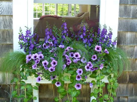225 Best Images About Window Boxes On Pinterest Window