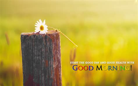 Good Morning Wish Quote Image Good Morning Images Hd 1080p Download