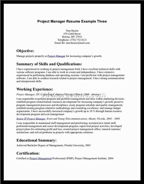 Executive Chef Resume Objective Samples Sky Resume Examples