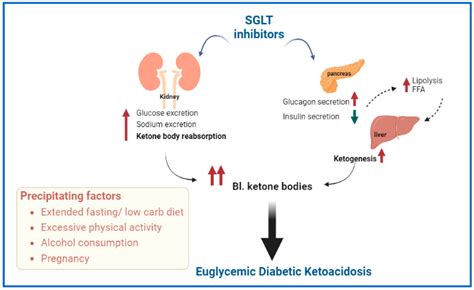 Diabetic Ketoacidosis Management In Special Population Encyclopedia Mdpi