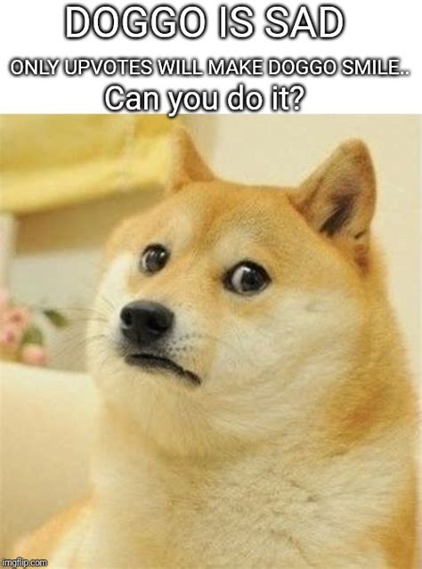 Image Tagged In Doge Is Sad Imgflip