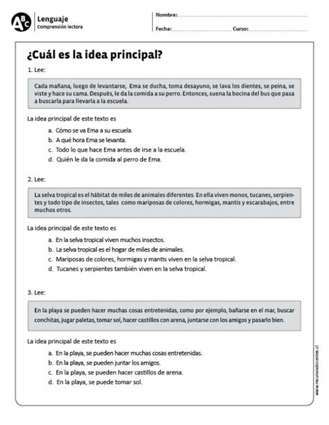 Ejemplos De Idea Principal