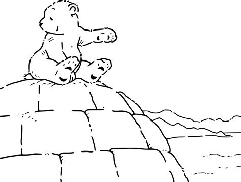 Coloriage Ours polaire pôle Nord gratuit à imprimer  Coloriages.info