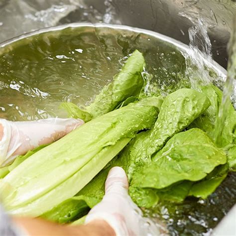 Here are other ways to wash lettuce that you can apply: How to Wash Produce: Cleaning Your Fruit & Vegetables The ...