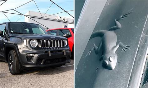 Jeep Easter Egg Animals Jeep Owners Stunned Over Hidden Detail On Car