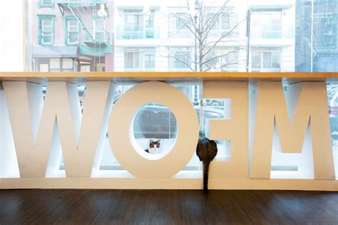 What is a cat café? First Design Cat Café in NYC - Fubiz Media