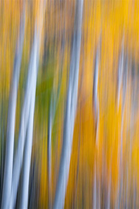 Fine Art Abstract Nature Photography For Sale