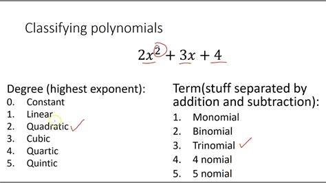 Classifying Polynomials Youtube