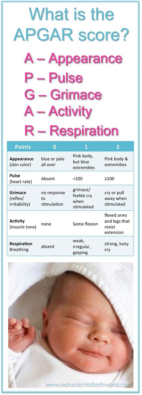 81 Best Newborn Assessment Images On Pinterest Neonatal Nursing Pregnancy And Maternity Nursing