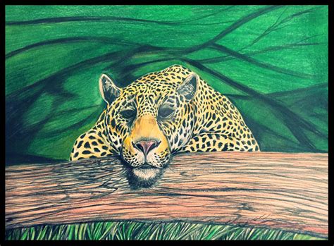 Jaguar Drawing Update By Tpallier On Deviantart