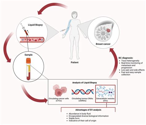 Liquid Biopsy For Breast Cancer BC Diagnosis Body Fluids Are Download Scientific Diagram