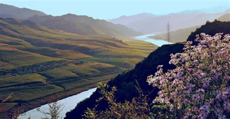 Photo, Image & Picture of The Yalu River Flowers