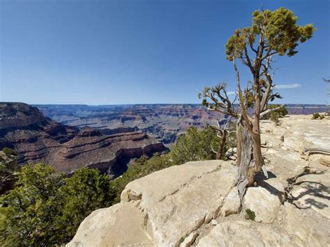 The Best Time To Visit The Grand Canyon And Features Of The National
