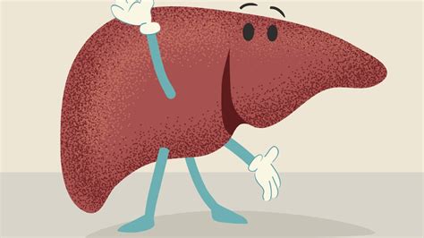 The liver is an organ only found in vertebrates which detoxifies various metabolites, synthesizes proteins and produces biochemicals necessary for digestion and growth. 12 Bilious Facts About the Liver | Mental Floss