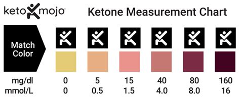 No need to get billed for expensive panels and lab draws. How To Interpret Ketone Urine Test Results | KETO-MOJO