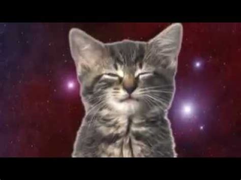 Космически котки - YouTube