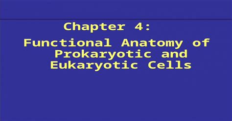 chapter 4 functional anatomy of prokaryotic and eukaryotic cells [ppt powerpoint]