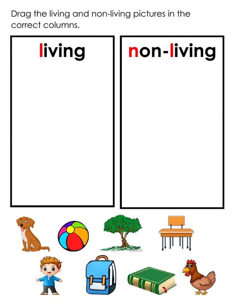 Classifying Living Living And Non Living Things Worksheet