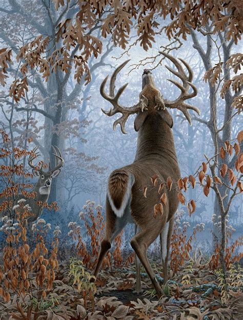 Big Timber Bucks Deer Artwork Whitetail Deer Pictures Hunting Art