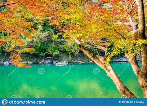 Beautiful Arashiyama River With Maple Leaf Tree And Boat Around Stock