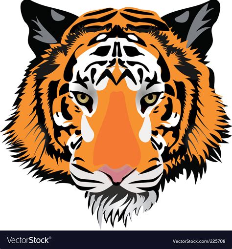 Tiger Head Royalty Free Vector Image Vectorstock