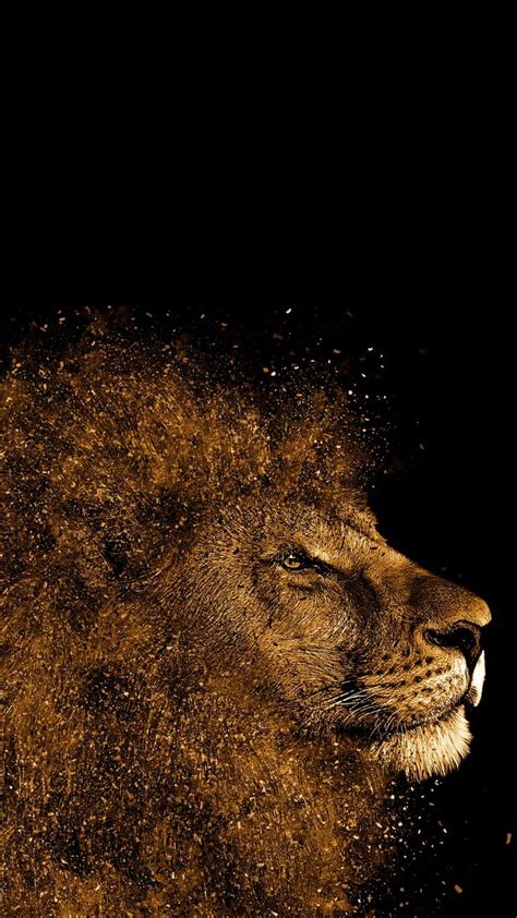 Check spelling or type a new query. HD Amoled Wallpaper Lion | wallpaper artis