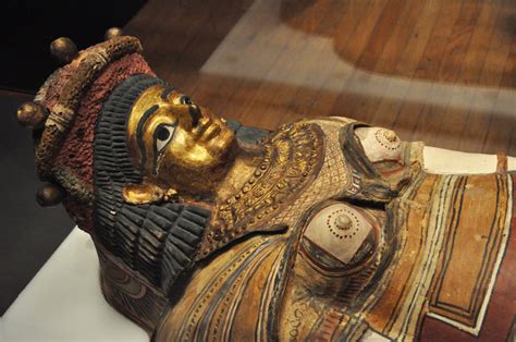 Mummies Brings Dead Back To Life At Natural History Museum Learn