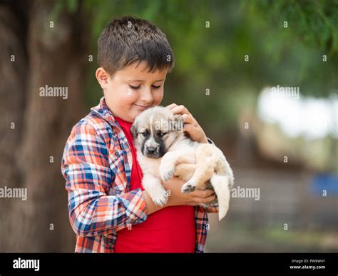 Child Is Hugging A Little Puppy Kids Love Animals Stock Photo Alamy