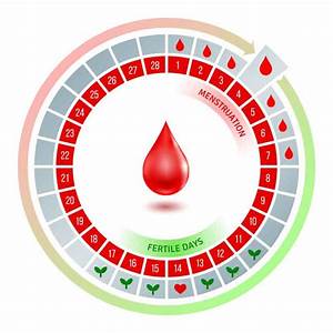 How To Track Ovulation Undefining Motherhood