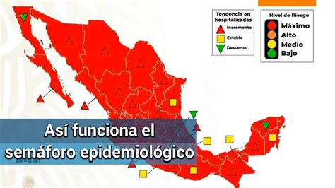 Semáforo estatal de riesgo epidemiológico. Covid en México. Semáforo epidemiológico, ¿qué lo ...