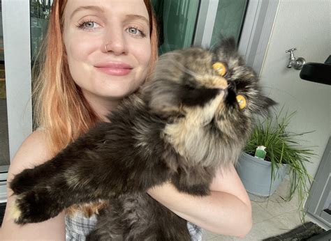 Pet Sitting 101 Interview With A Cat Sitter Traveling The World