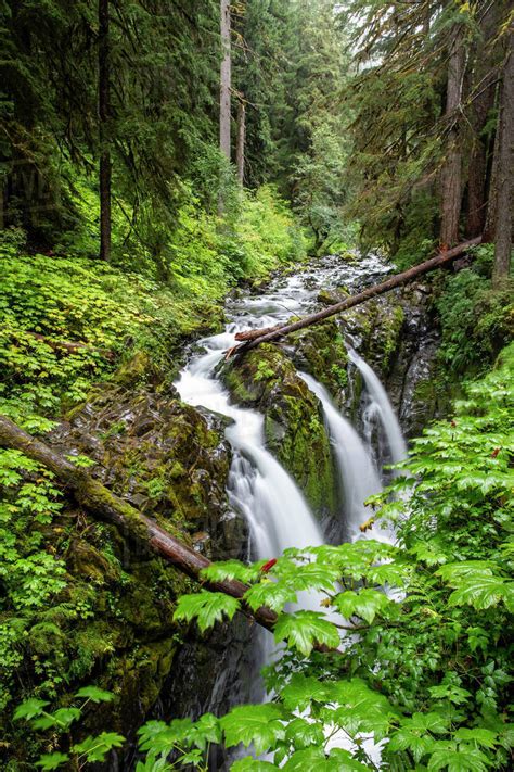 Waterfall On The Sol Duc Falls Trail Sol Duc Valley Olympic National