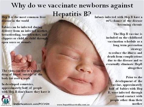 Greater than 90% of babies and up to 50% of young children who are not vaccinated and are infected with hepatitis b will have lifelong infection, which makes the. Hepatitis B and Maternity