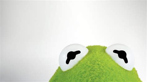 Paco chato paco el chato / dattebayo posting espan. Kermit The Frog Wallpapers - Wallpaper Cave