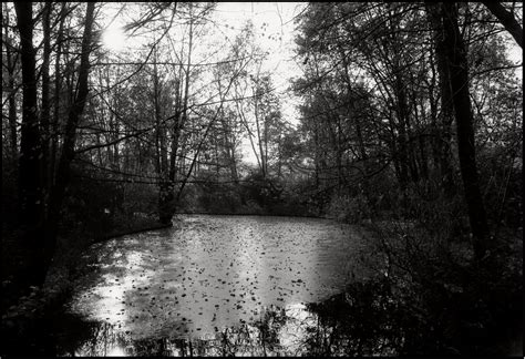 Tiergarten Berlin Im Winter 1980 Petershagen Flickr