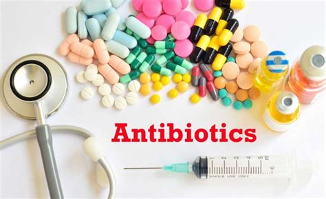 Antibiotics Archives Universitas Airlangga Official Website