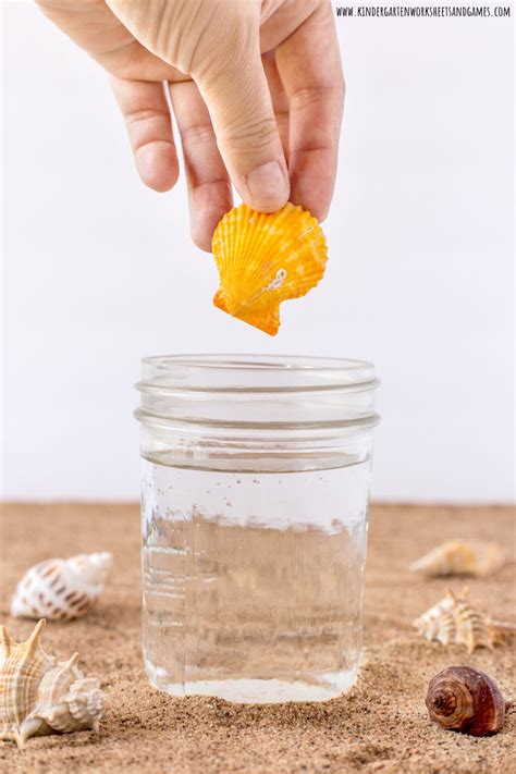 🐚 Easy Summer Activities Disolving Seashell Science Experiment