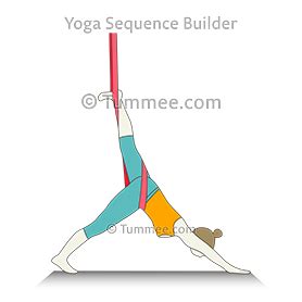 Three Legged Downward Facing Dog Pose Aerial Yoga (Tri ...