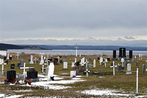 Stephebville West Rc Cemetery St Georges Bay District Newfoundland