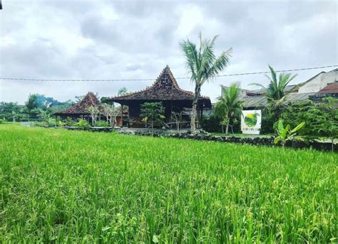 Rumah Makan Tepi Sawah Di Jogja Simon Avery