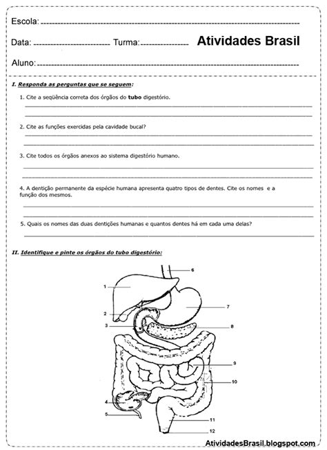 Atividades Brasil Atividades Sobre Sistema Digestório