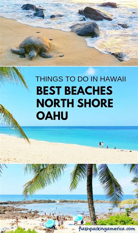 5 North Shore Oahu Beaches To Know About For First Trip To Honolulu 🌴 Hawaii Travel Blog