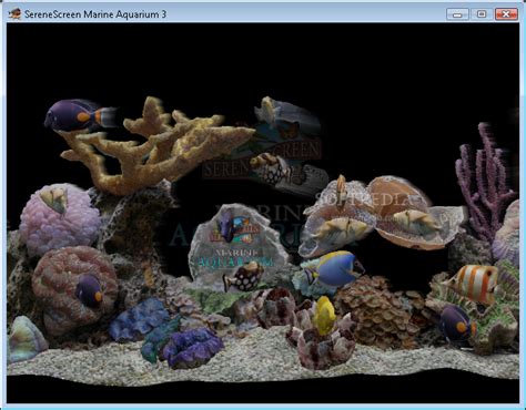 Free Living Marine Aquarium Screensaver Luliindo