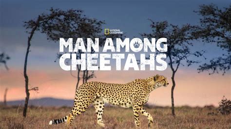 Animal Documentaries On Hbo - ANIMALQU