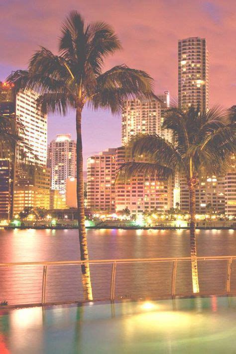 Pink Skies And Palm Trees Skyline Miami Hotels
