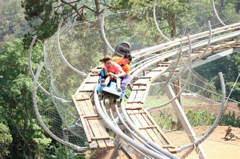 Pongyang Zipline And Jungle Coaster Chiang Mai All You Need To Know Before You Go